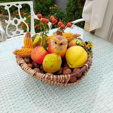 Casa Continentelor Hotel Cîmpulung Kültér fotó