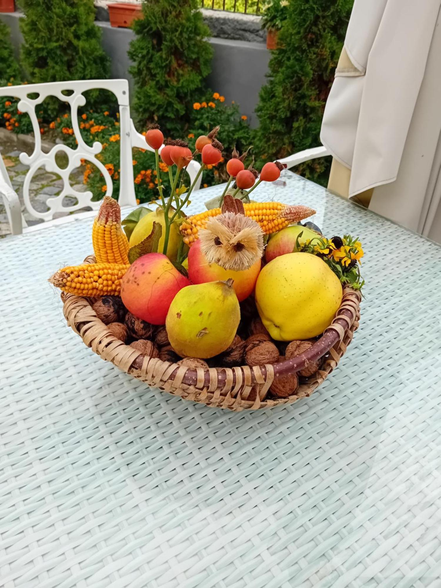 Casa Continentelor Hotel Cîmpulung Kültér fotó